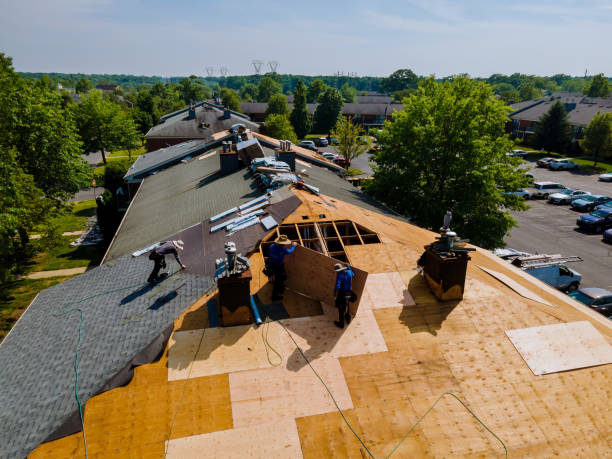 Best Storm Damage Roof Repair  in Gueydan, LA