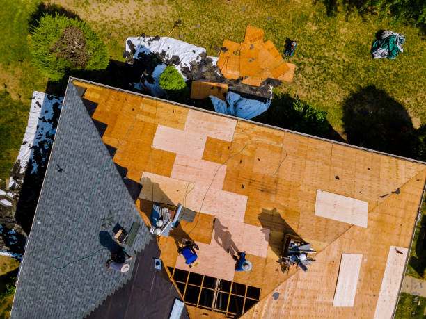 Best Roof Repair Services  in Gueydan, LA